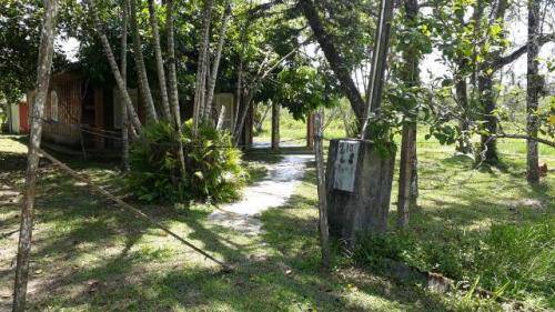 Fazenda à venda com 3 quartos, 206m² - Foto 6