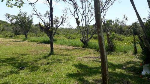 Fazenda à venda com 3 quartos, 206m² - Foto 8