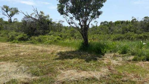 Fazenda à venda com 3 quartos, 206m² - Foto 20