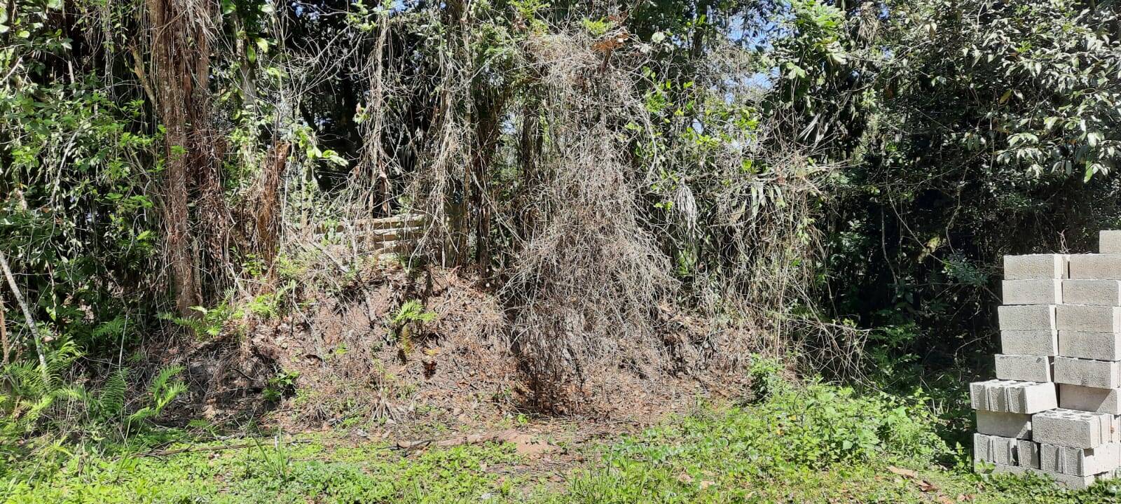 Terreno à venda, 1000m² - Foto 3