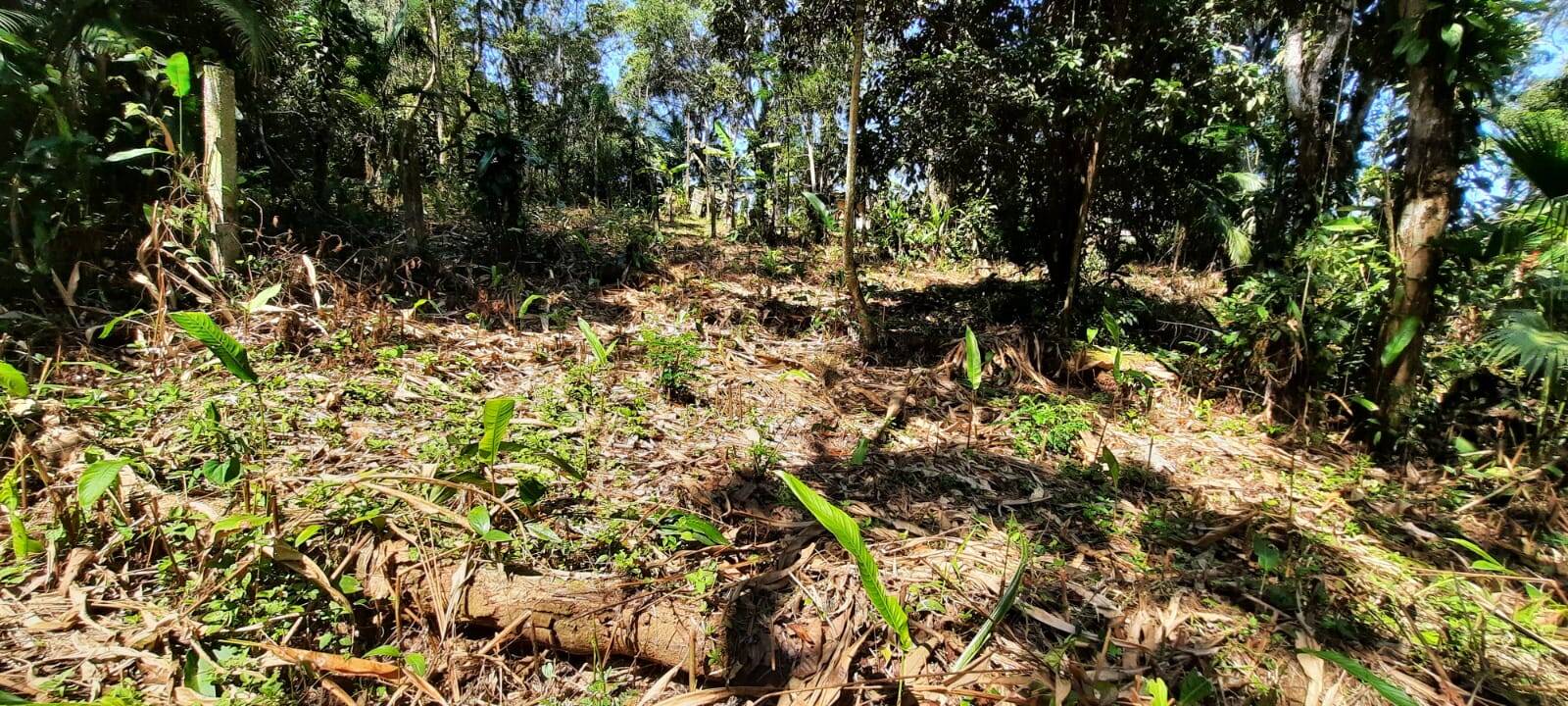 Terreno à venda, 1000m² - Foto 1