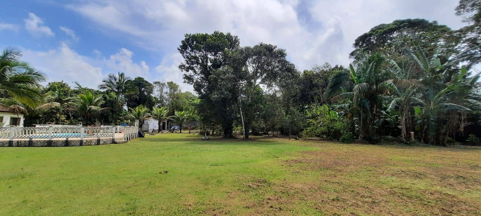 Fazenda à venda com 3 quartos, 320m² - Foto 19