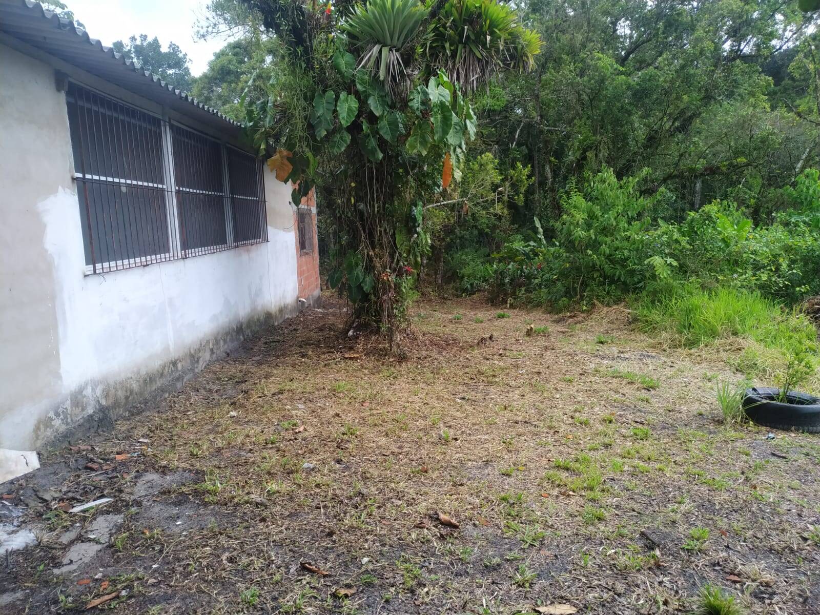 Fazenda à venda com 2 quartos, 90m² - Foto 4